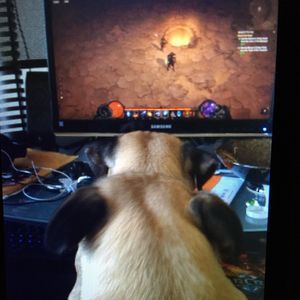 Meet your Posher, Aphro